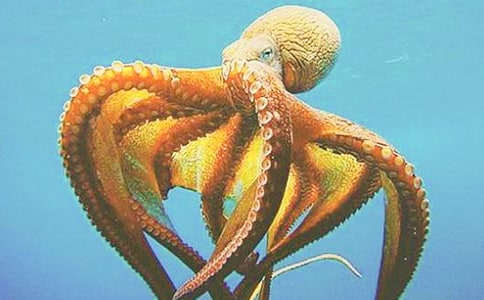 �а����g����̰����̌W��˼�����~ˮĸһ���H��