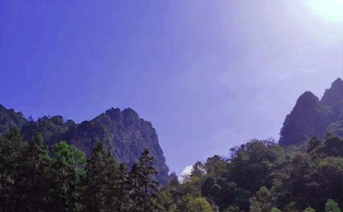 �P(gu��n)�ڏ��ҽ����T(m��n)ɽ��(d��o)���~