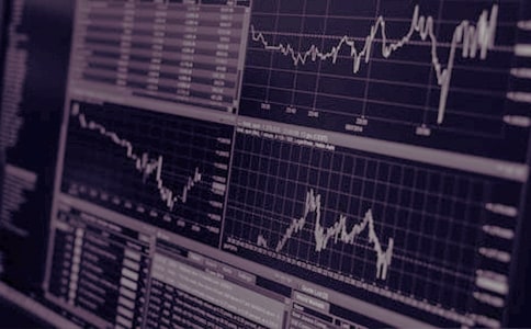 大學生在證券行業的實習報告