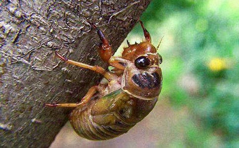 ճ֪�˵������S�P