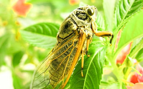 �矟����_�ҺͰְ�׽֪������1000��