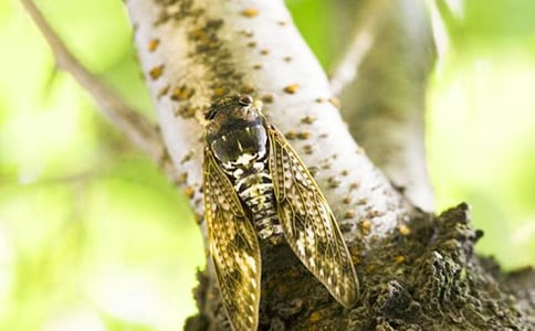 ׽֪����ӛ�����x46ƪ��