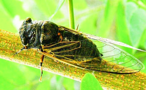 ֪�˵����ġ�����15ƪ��