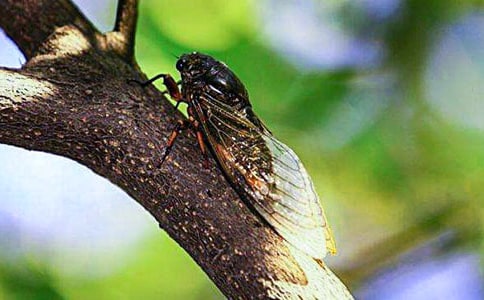 ׽֪�����ĺϼ�10ƪ