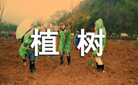 ���҂�ȥֲ��̌W�OӋ