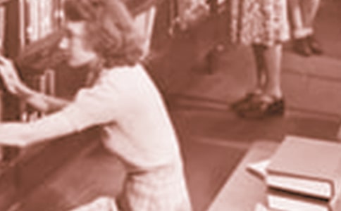 �ЌW�����A���¹����ĵ��w��