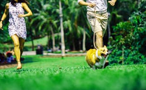 ��ĩ��ӛһ�t300��