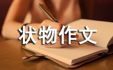 һ����ӛ���ĺ����P����-��������800��