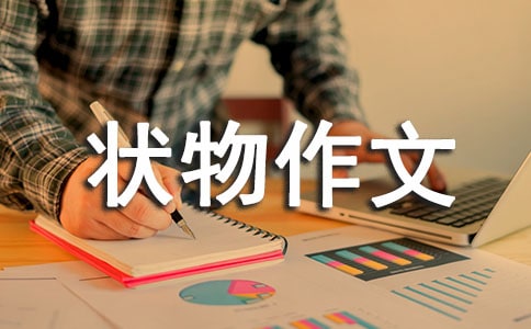 ���꼉�������İ�ɫ���F��ɫ����