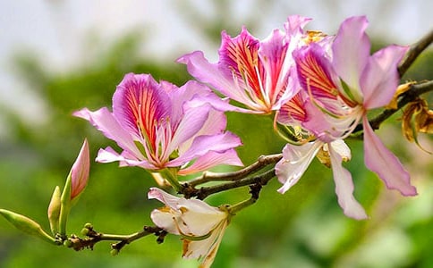 ʮһ�µ����G��Ԋ��