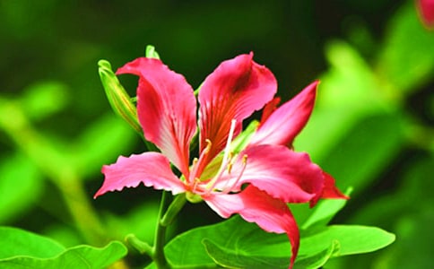 �������G���_�rɢ��