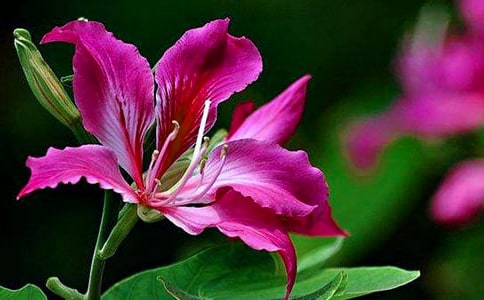 ���G�����ģ����x25ƪ��