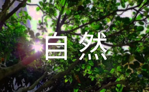 ȥ���_����Ȼ�Gɫ���n���Ľ̌W(xu��)�O(sh��)Ӌ(j��)