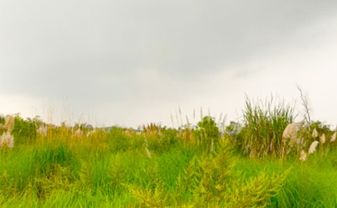 �x�����M���C�Ĵ��졷�и�(15ƪ)