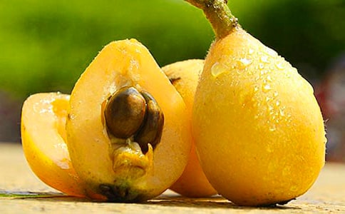 �������˝���V���Z