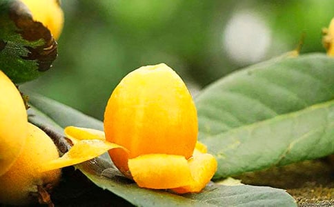 �ְֵ������~������450��