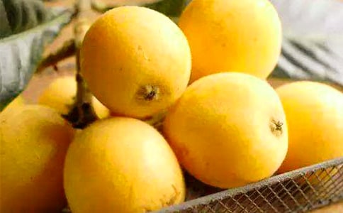 �����m(x��)���Č�:���˘�