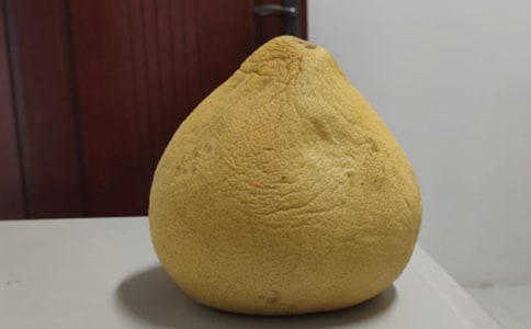 吃柚子觀察日記