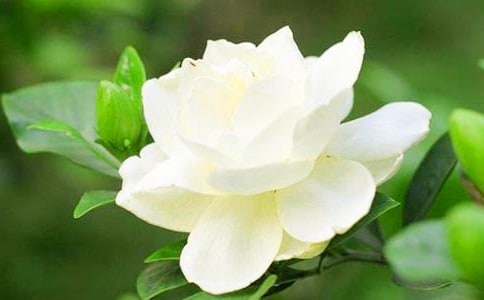 ���d�ӻ�Ц�ˡ��F������x����