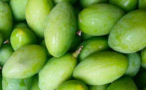 難忘的橄欖課的作文400字