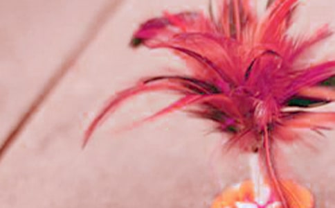 ���r�g������