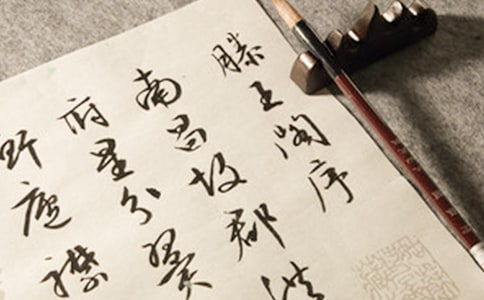 �����w��������x��