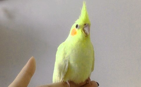 �P���W�^�~���ĺϼ���ƪ