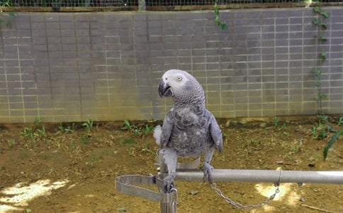 ���������W�^����x������������