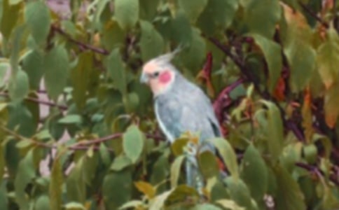 �P���W�^����ӛ��ͨ��10ƪ��