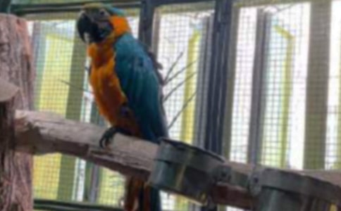 �����W�^�����s���S�P