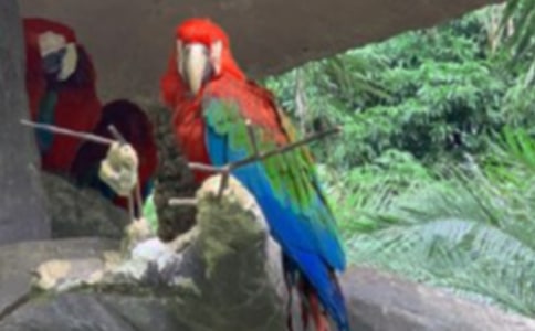 ���������W�^����x�}�ʹ�