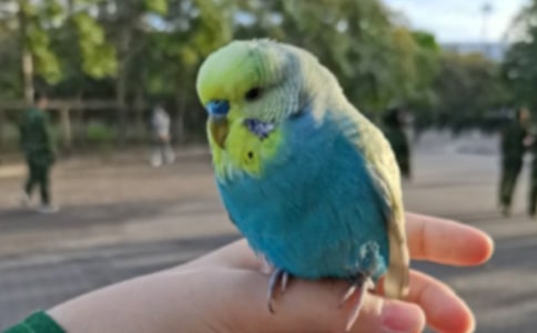 �����]���W�^�~������ƪ