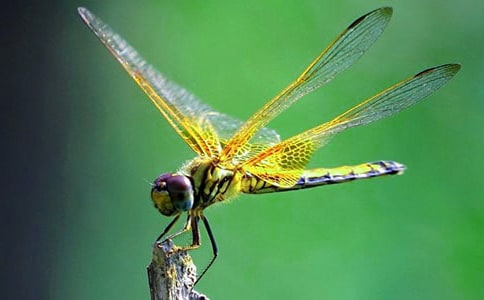 �����ѱ��u�����x��ġ��w��֮��������x����