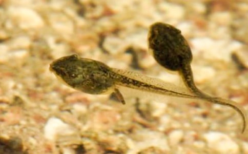 С�����ӛ200��