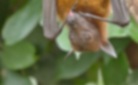 �������b�ܷ��w���F(xi��n)���Ё�?����x���⼰��