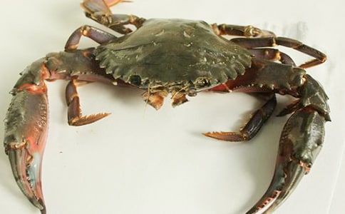 �з����ӛ��ͨ��32ƪ��