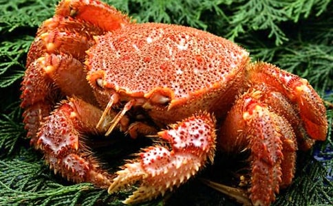 ��ζ���з��һ��ӛ