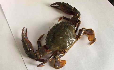 �����з�����а����g(sh��)�̰�