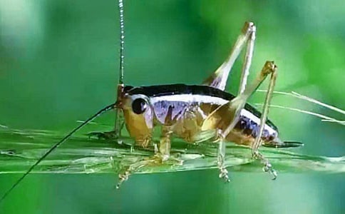 ���סլ����x�}��������