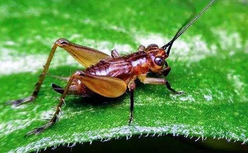 �������ӛ����x��