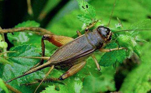 ���סլ��x��