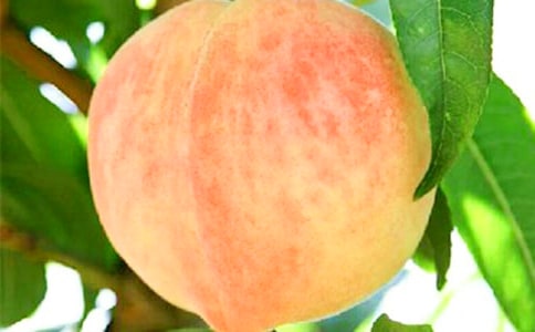 �L���桶�O��մ��[��ҕ����Ľ̌W�OӋ