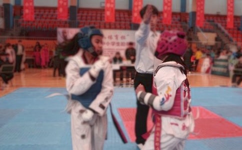 跆拳道比賽策劃書