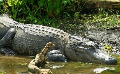 �{�~���@����ӛ