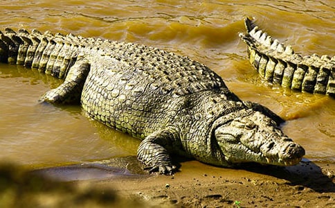 �{�~�ܵ��a��ӛ���꼉����