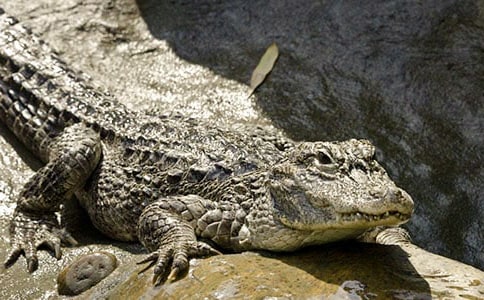 �{�~���е�ĸ��_800��