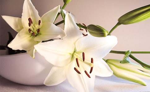 �茑�ٺϻ��ă�(y��u)������