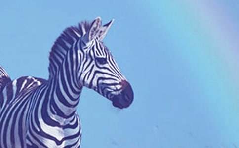 ���R������