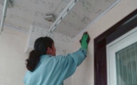 ������ͬ���������x31ƪ��