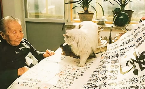 ���ĵ�������x���p145��